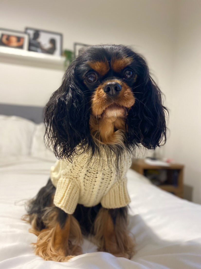 The Cosy Collection - Vanilla Milkshake Knit
