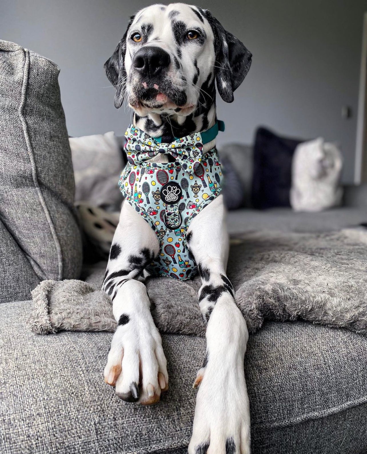 Adjustable Harness - Wimbledog
