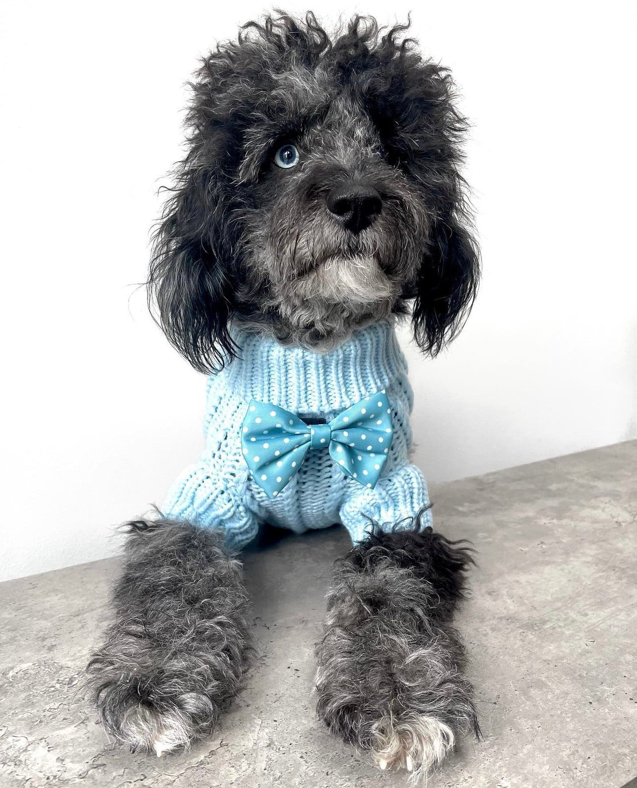 Bow - Oh My Polka Dots