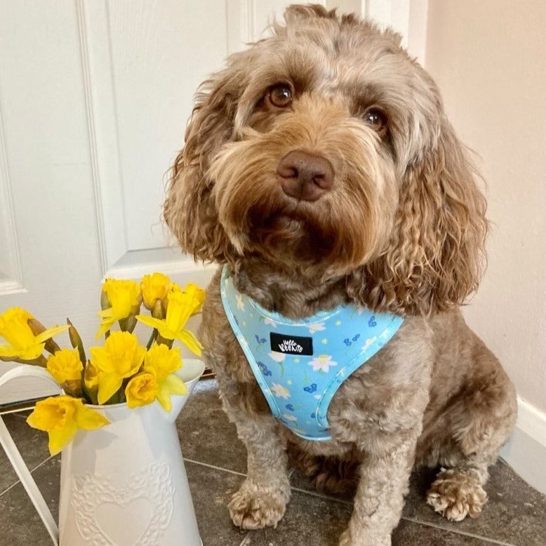Adjustable Harness - Bloomin Beautiful