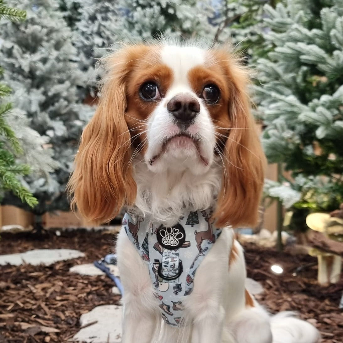 Adjustable Harness - Walkies In A Winter Wonderland