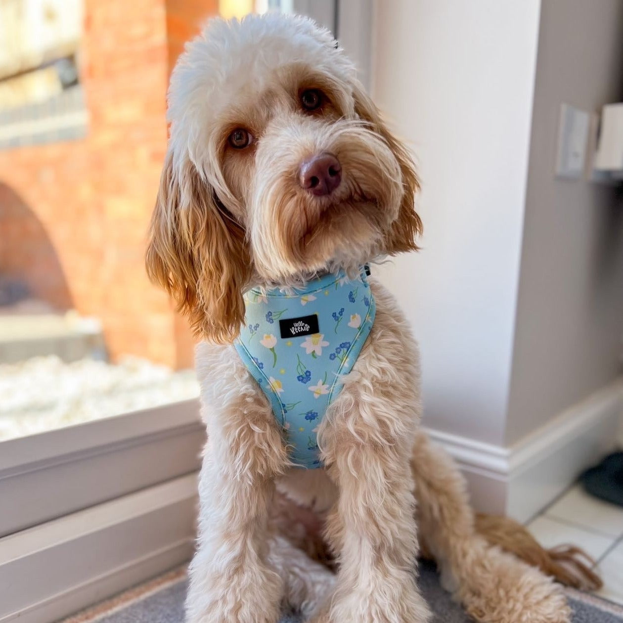 Adjustable Harness - Bloomin Beautiful