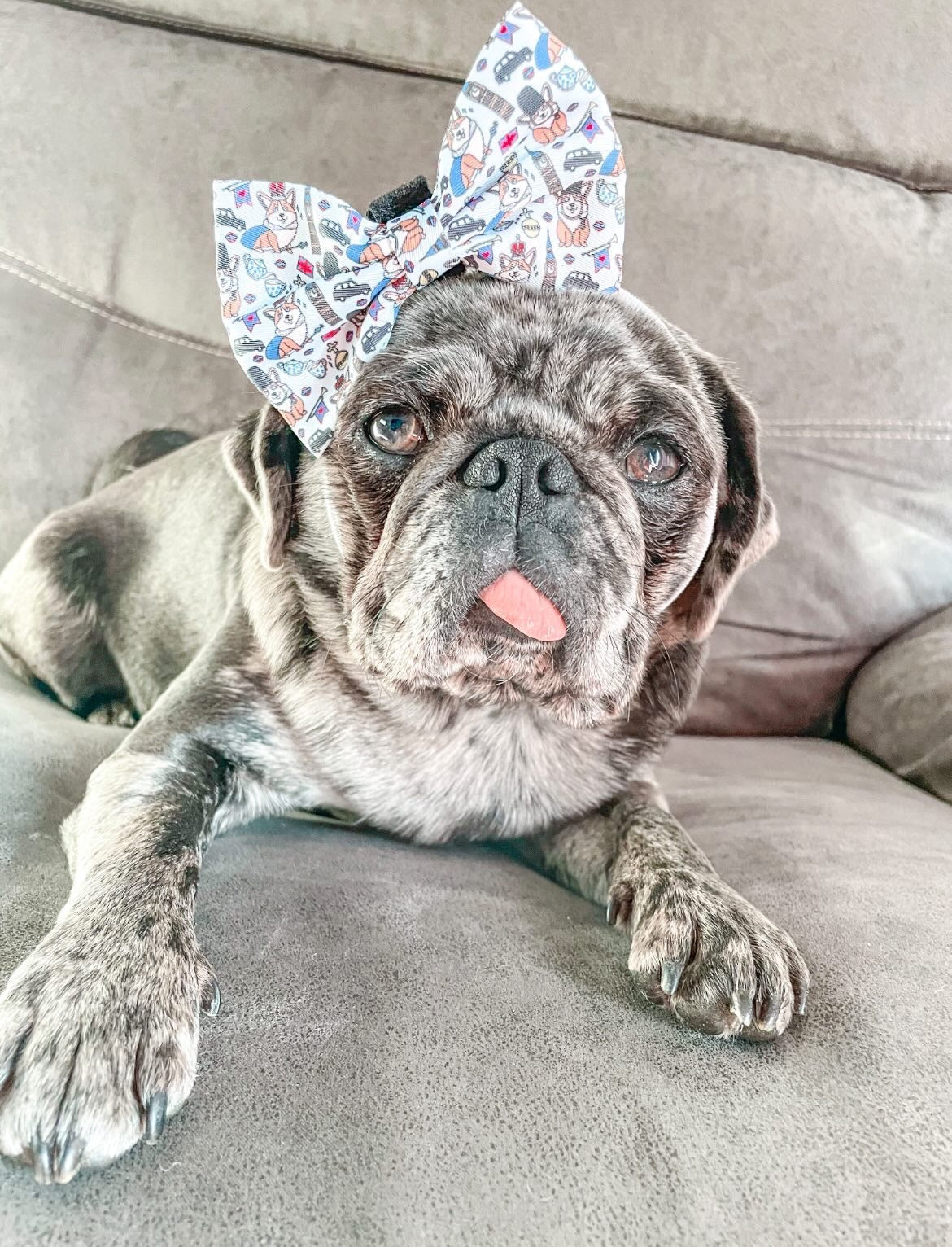 Bow - Royal Paws Of London