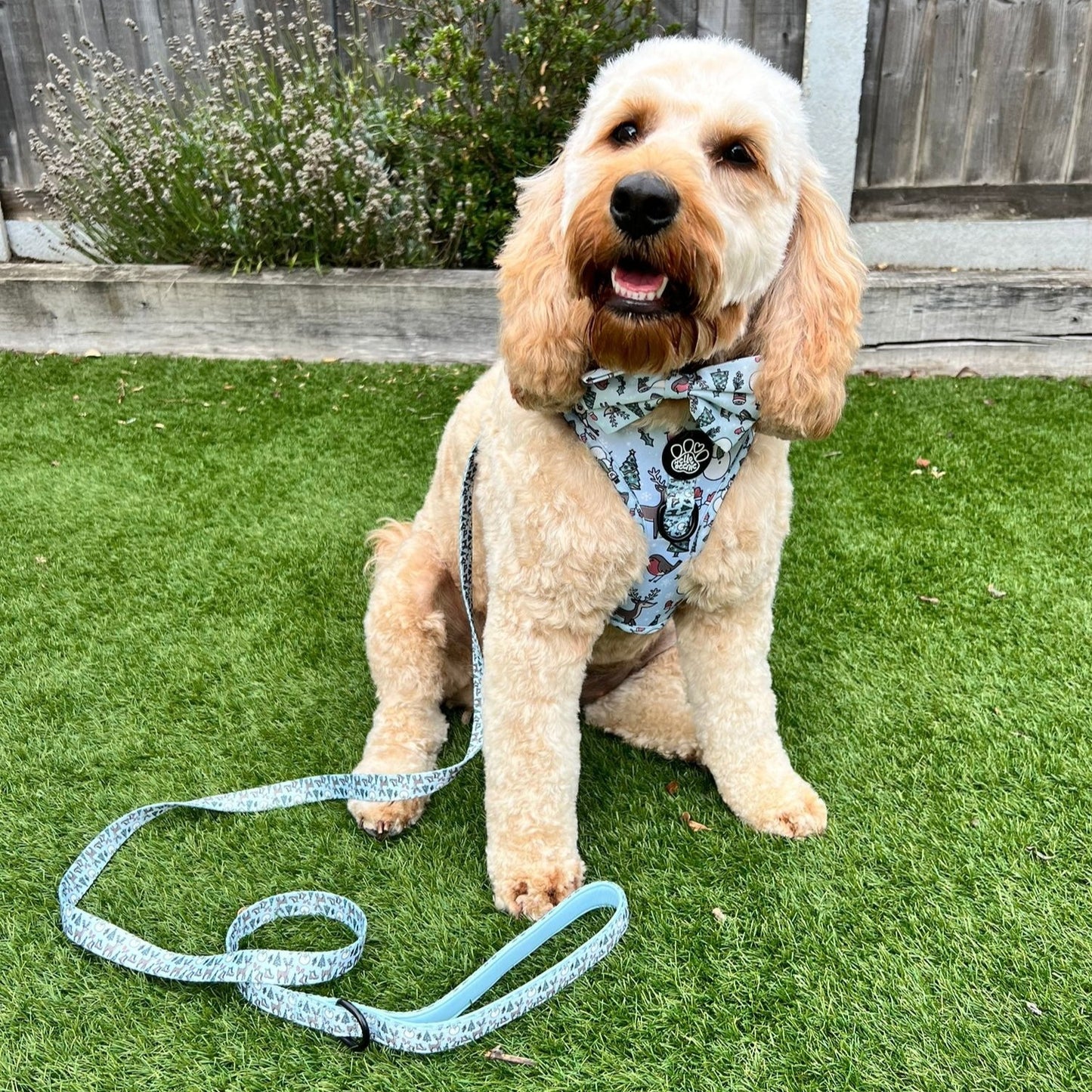 Adjustable Harness - Walkies In A Winter Wonderland