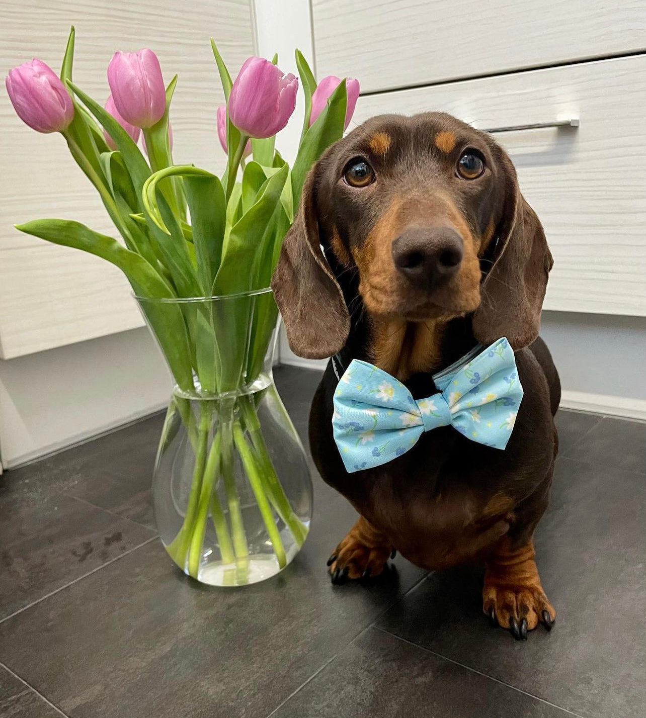 Bow - Bloomin Beautiful