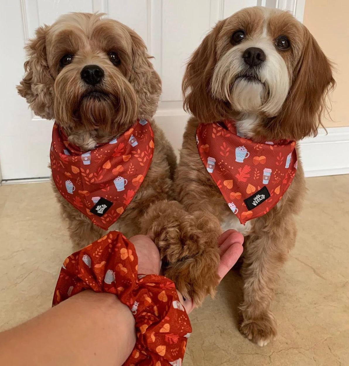 Bandana - Autumn Vibes