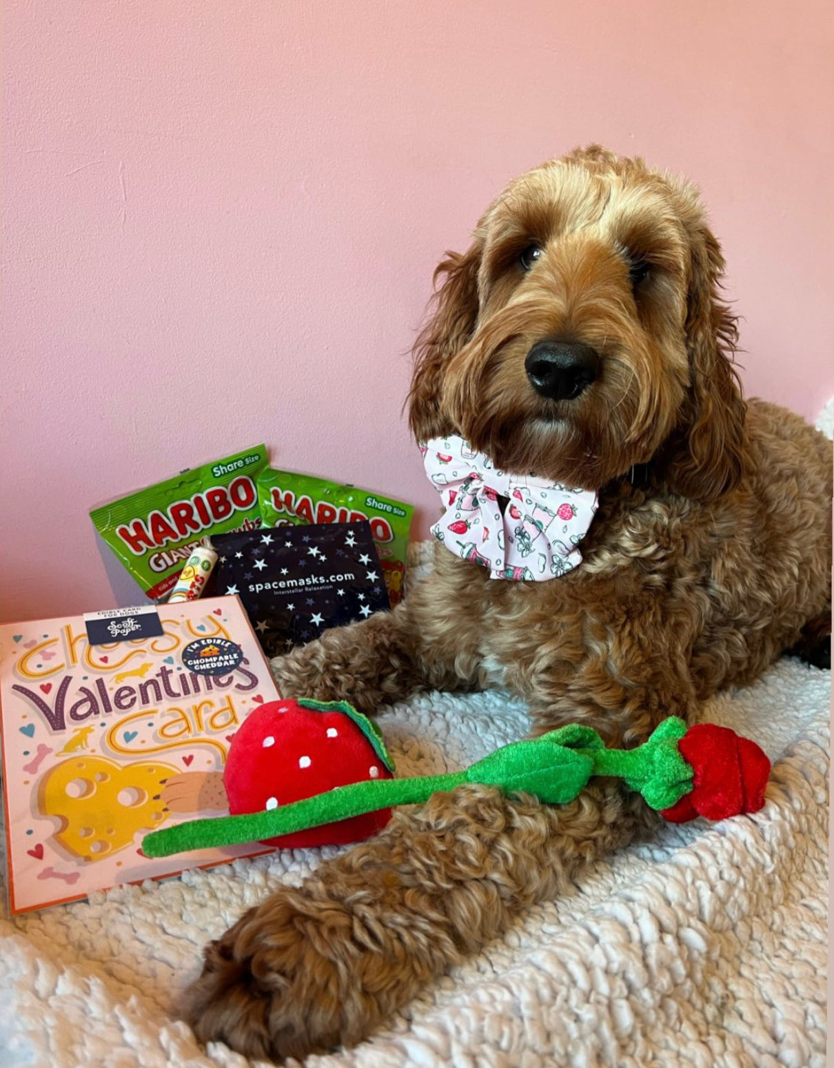 Valentine’s Box