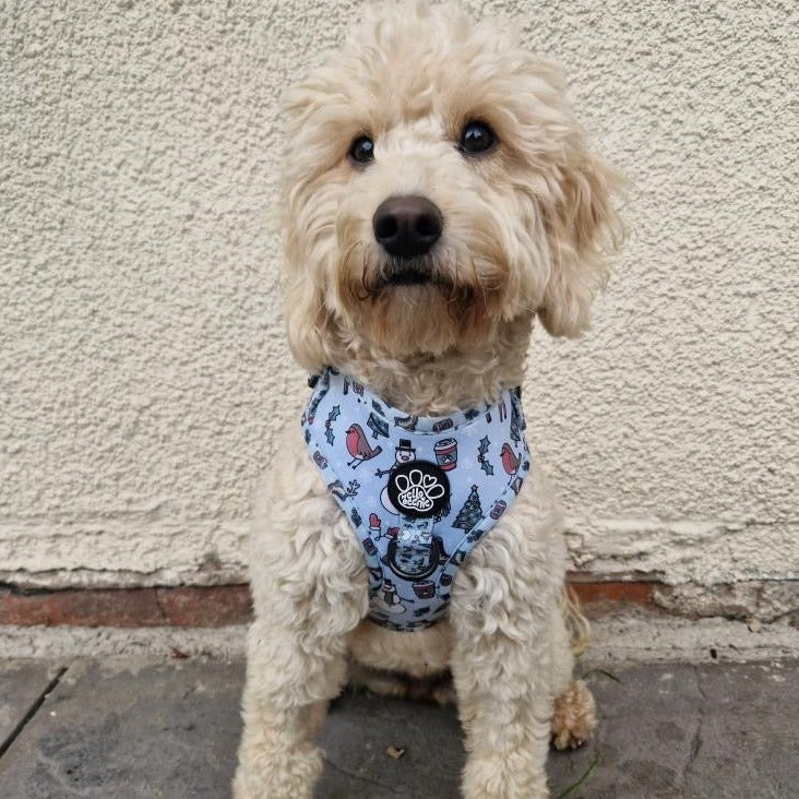 Adjustable Harness - Walkies In A Winter Wonderland