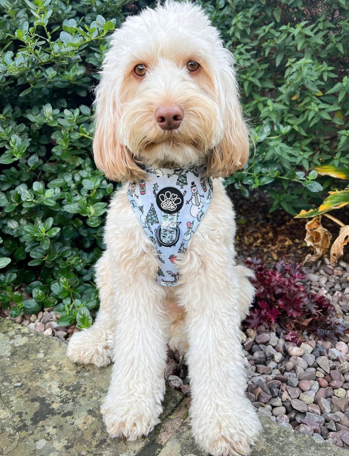 Adjustable Harness - Walkies In A Winter Wonderland