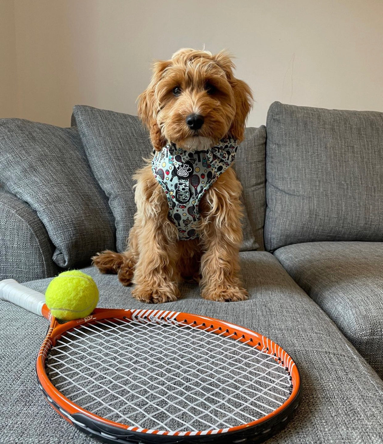 Adjustable Harness - Wimbledog