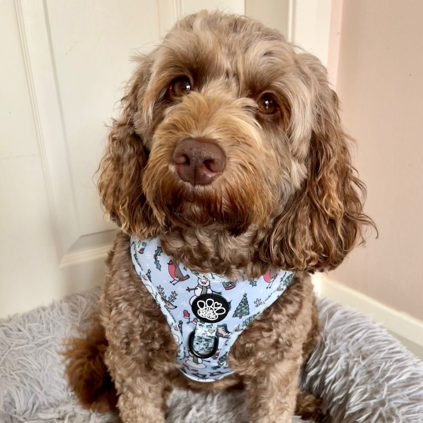 Adjustable Harness - Walkies In A Winter Wonderland