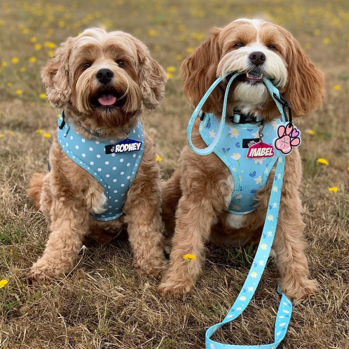 Adjustable Harness - Oh My Polka Dots