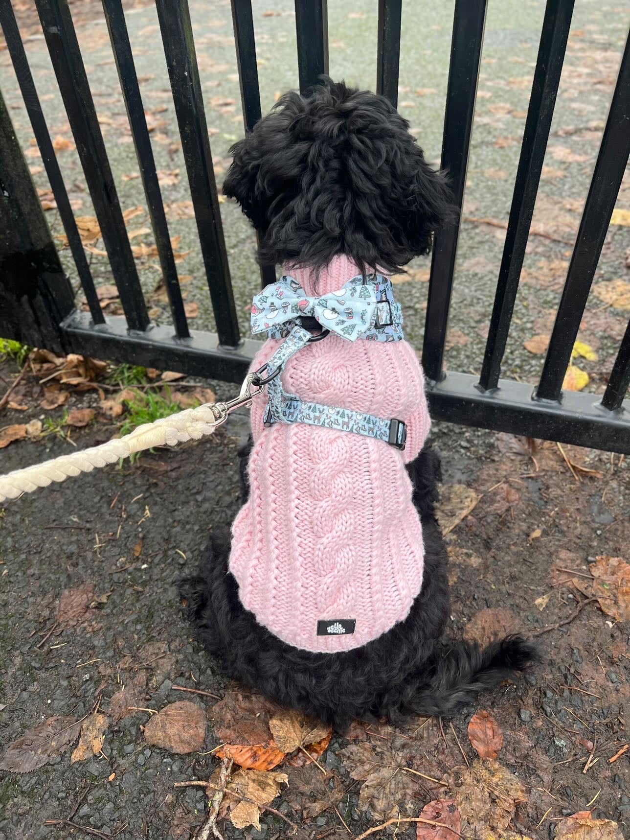 The Cosy Collection - CandyFloss Pink Knit