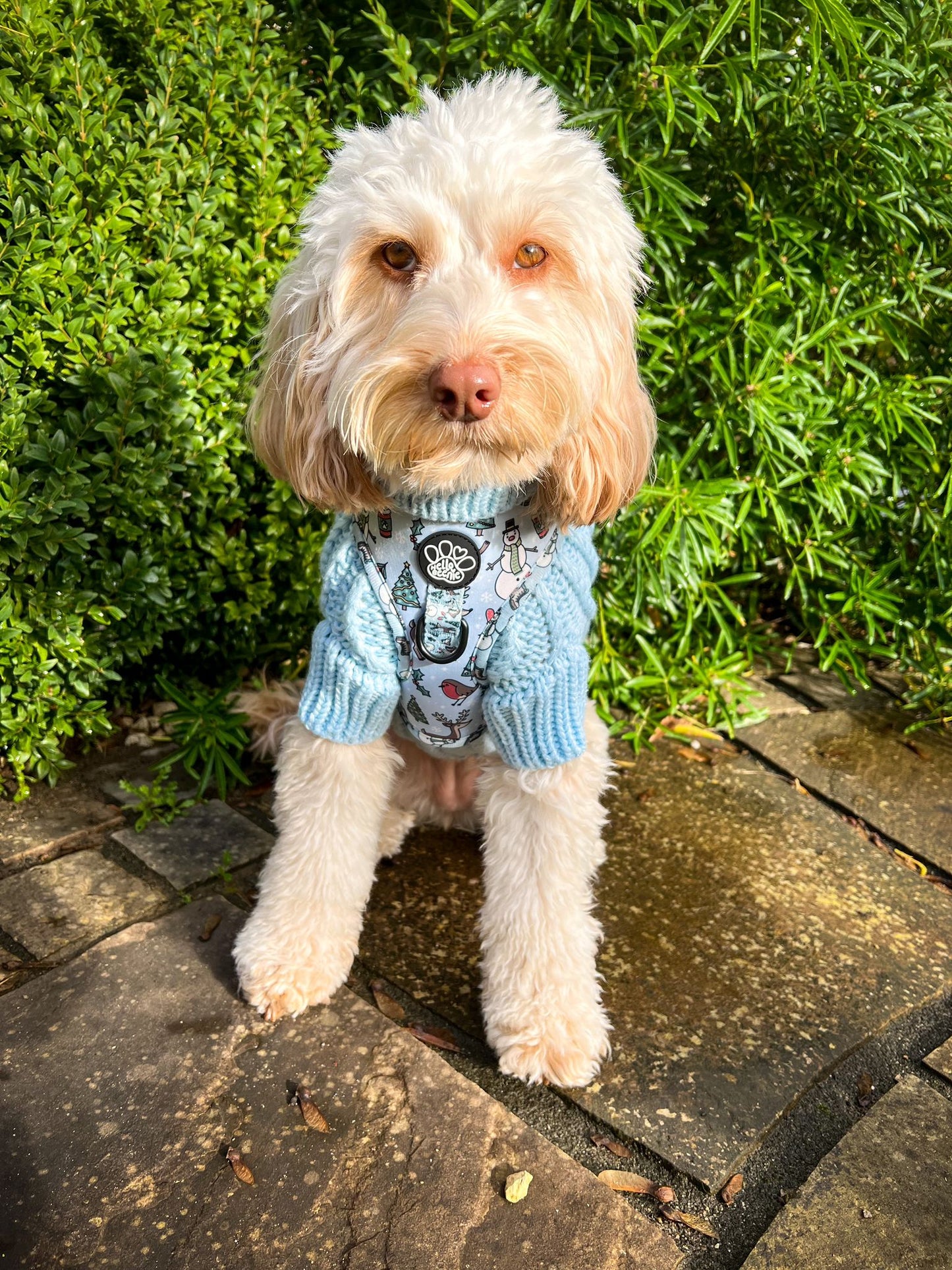Adjustable Harness - Walkies In A Winter Wonderland