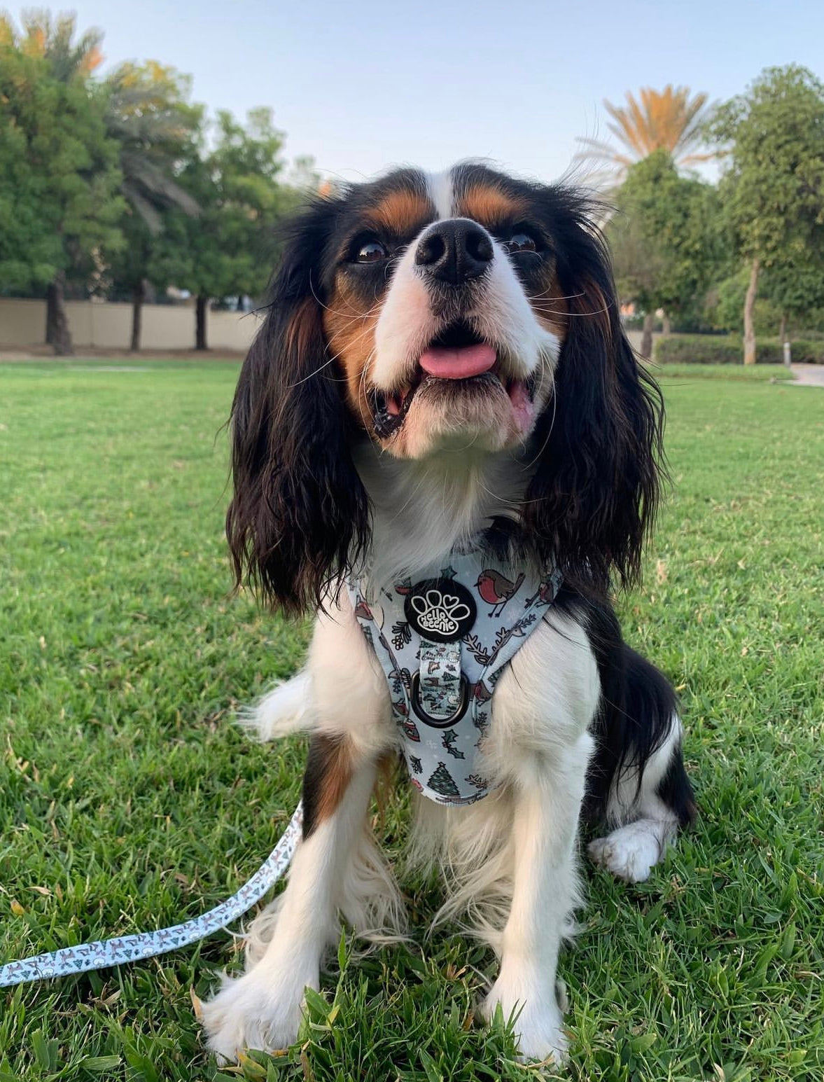 Adjustable Harness - Walkies In A Winter Wonderland