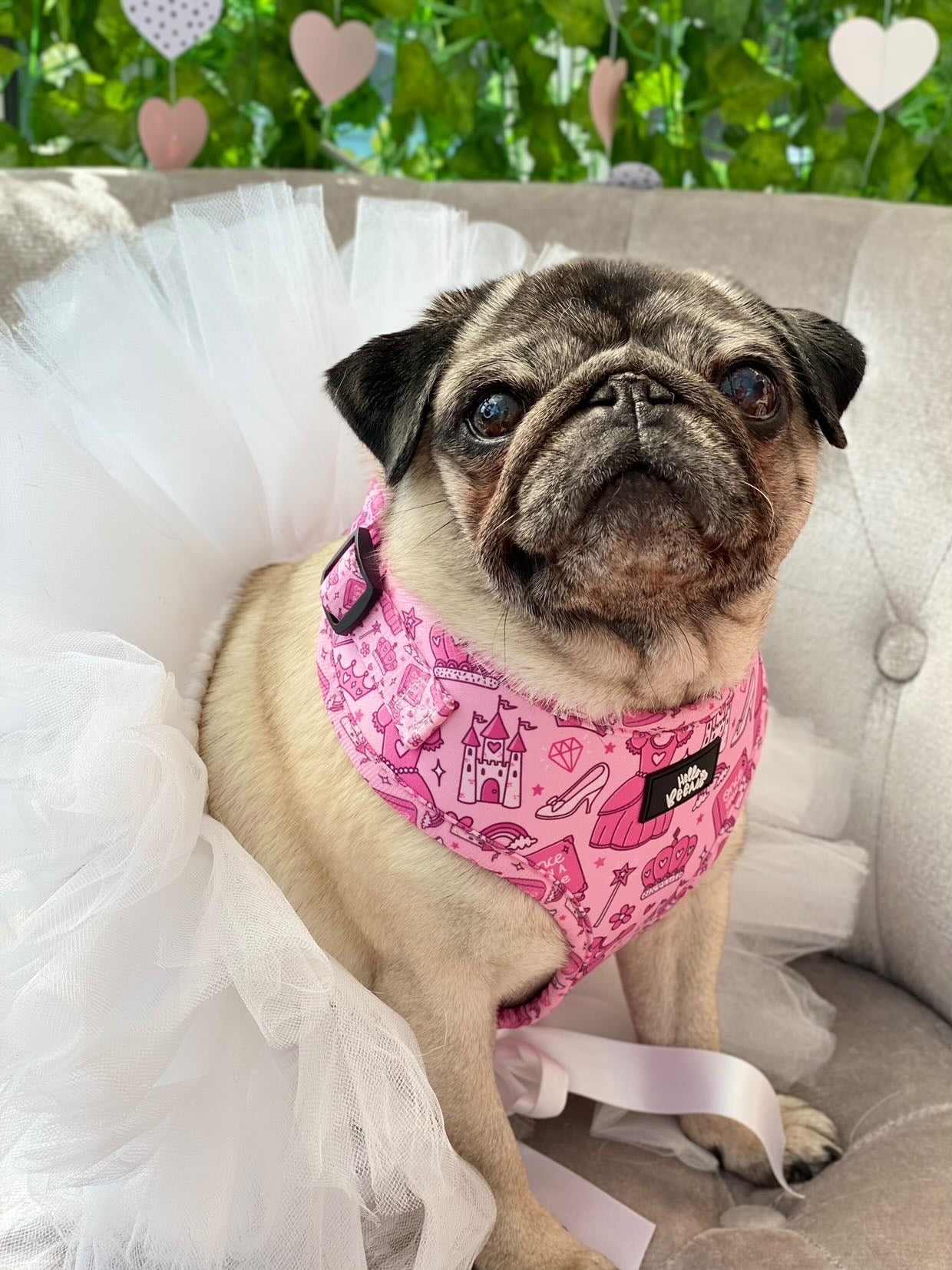 Adjustable Harness - Once Upon A Princess