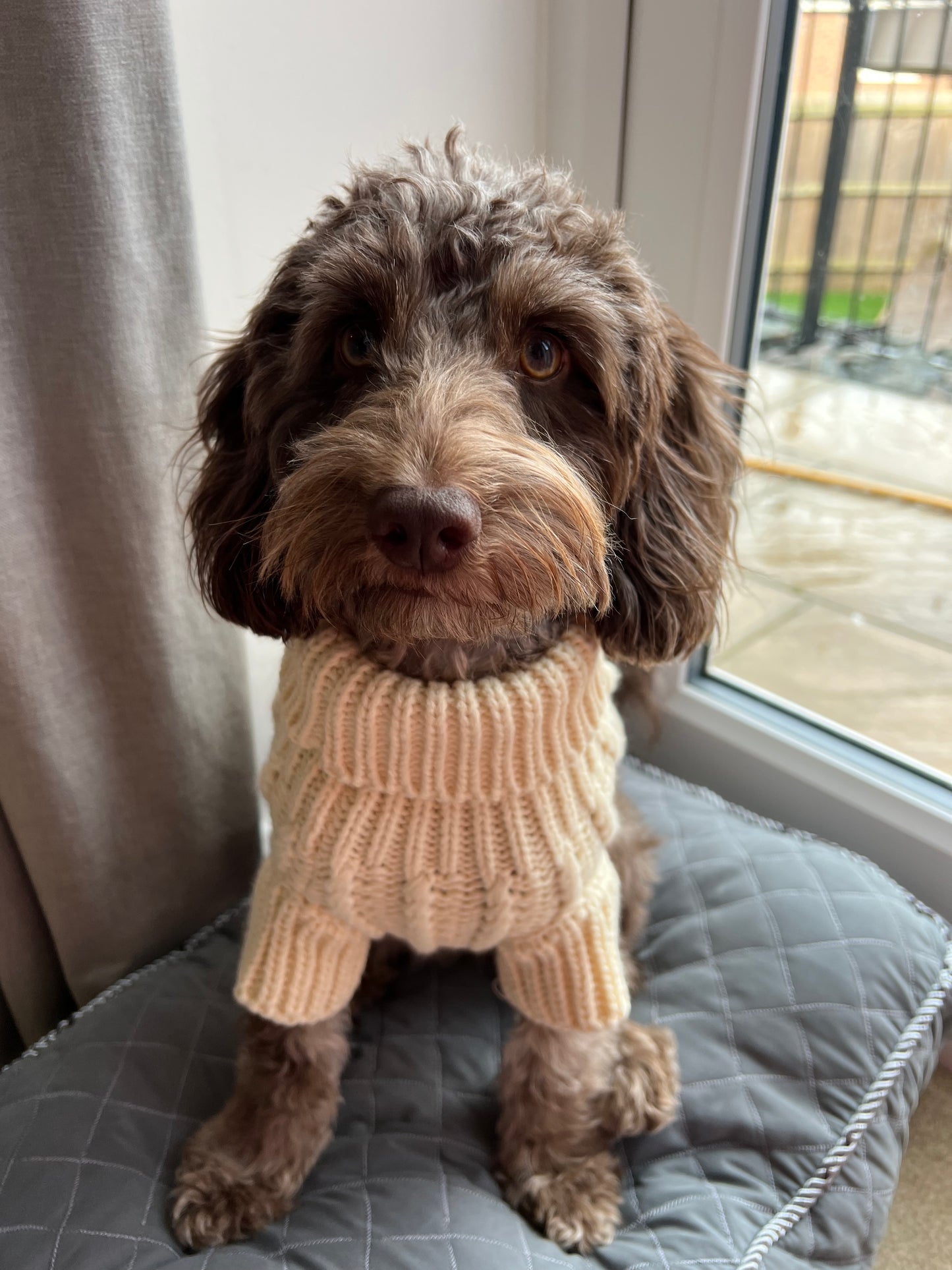 The Cosy Collection - Vanilla Milkshake Knit