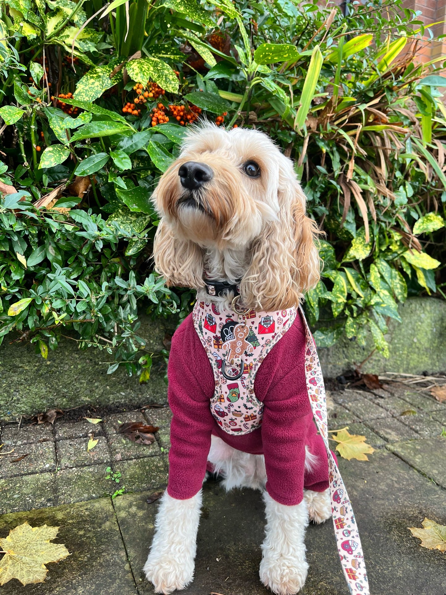 Adjustable Harness - Here Comes Santa Paws