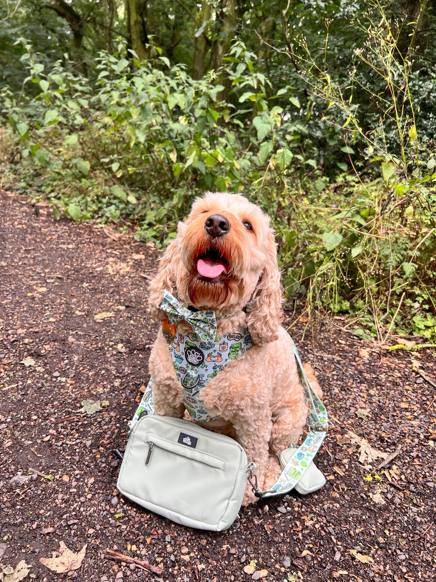 Dog Walking Bag - Pawsitivity