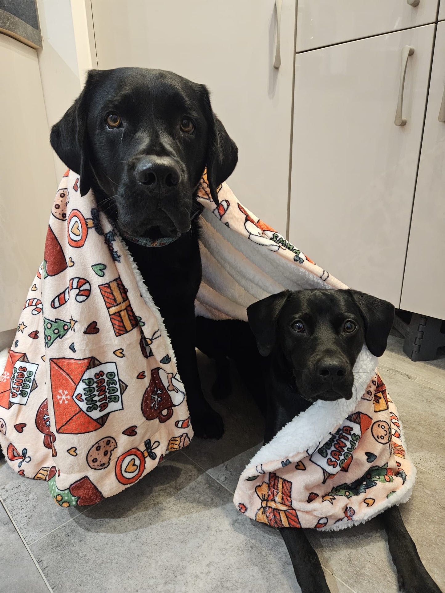 Supersized Blanket - Here Comes Santa Paws