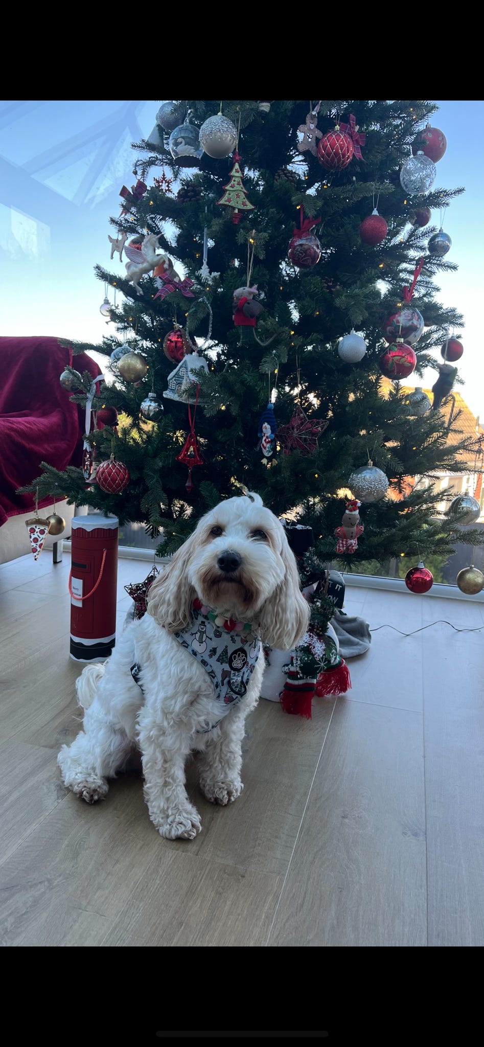 Adjustable Harness - Walkies In A Winter Wonderland