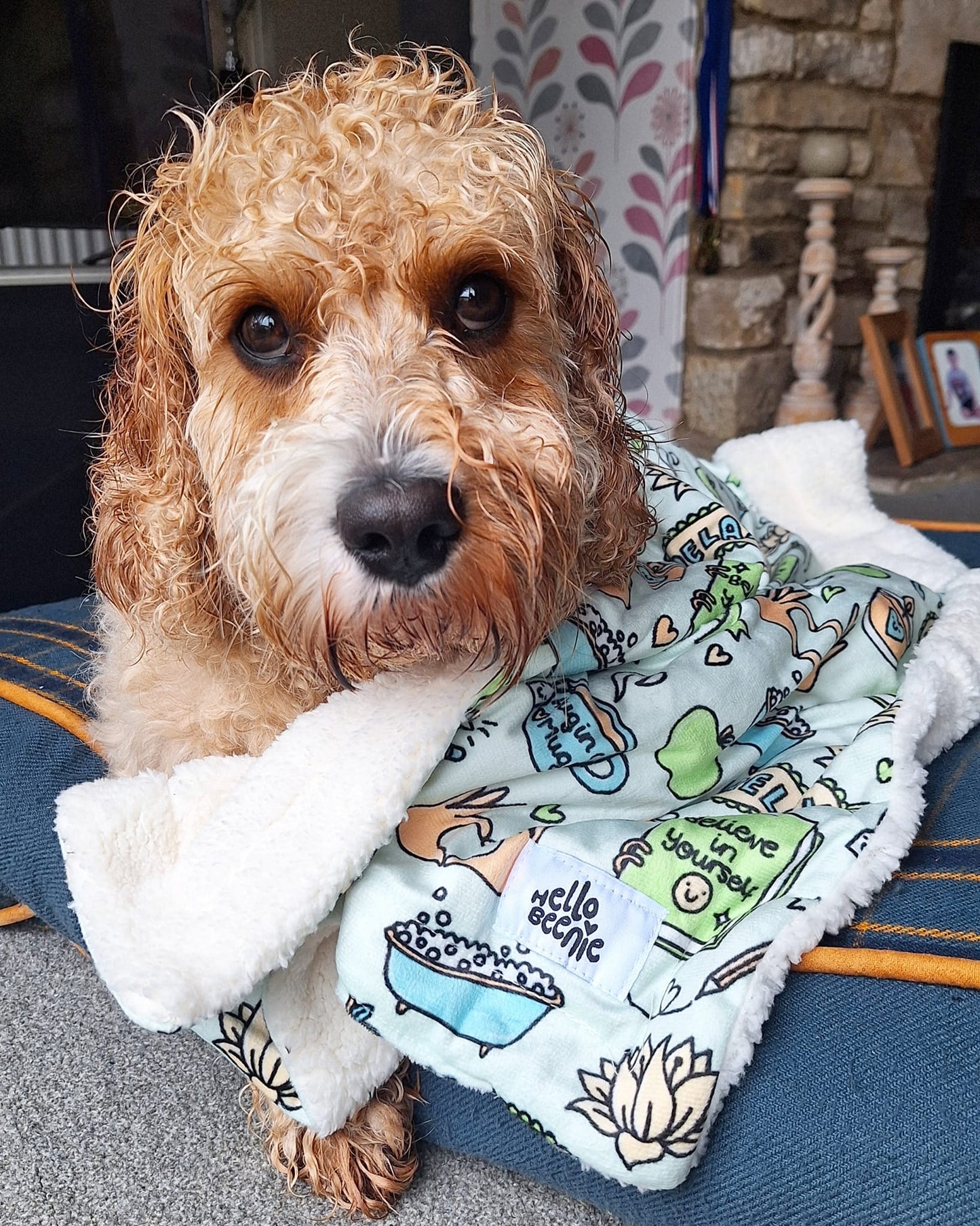 Dog Blanket - Pawsitivity