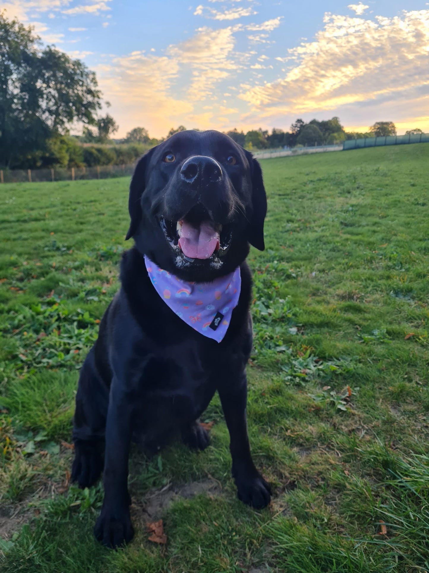 Bandana - Happiness