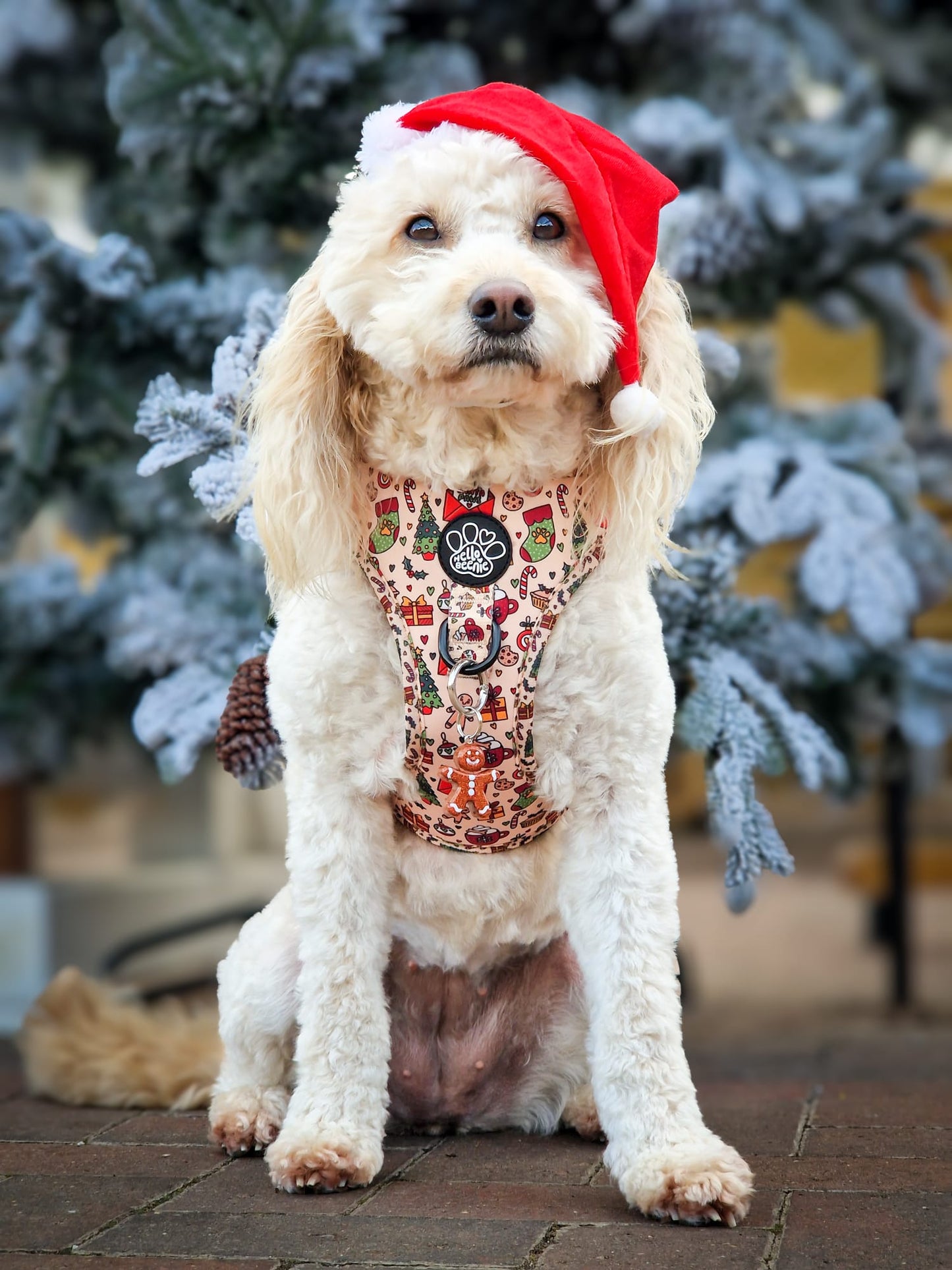 Adjustable Harness - Here Comes Santa Paws