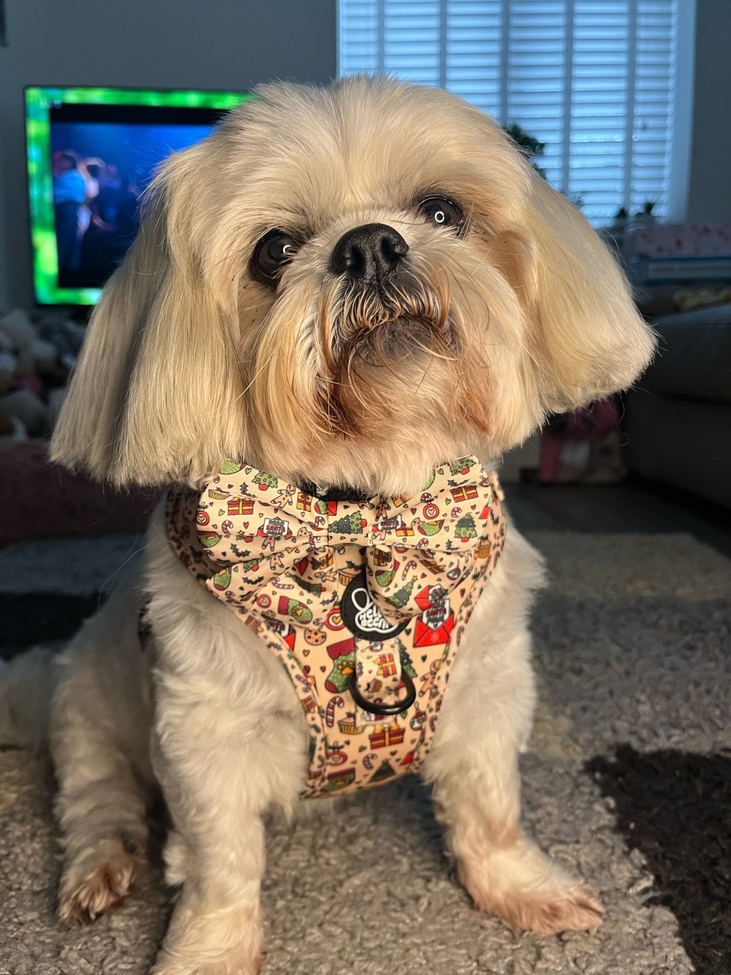 Adjustable Harness - Here Comes Santa Paws