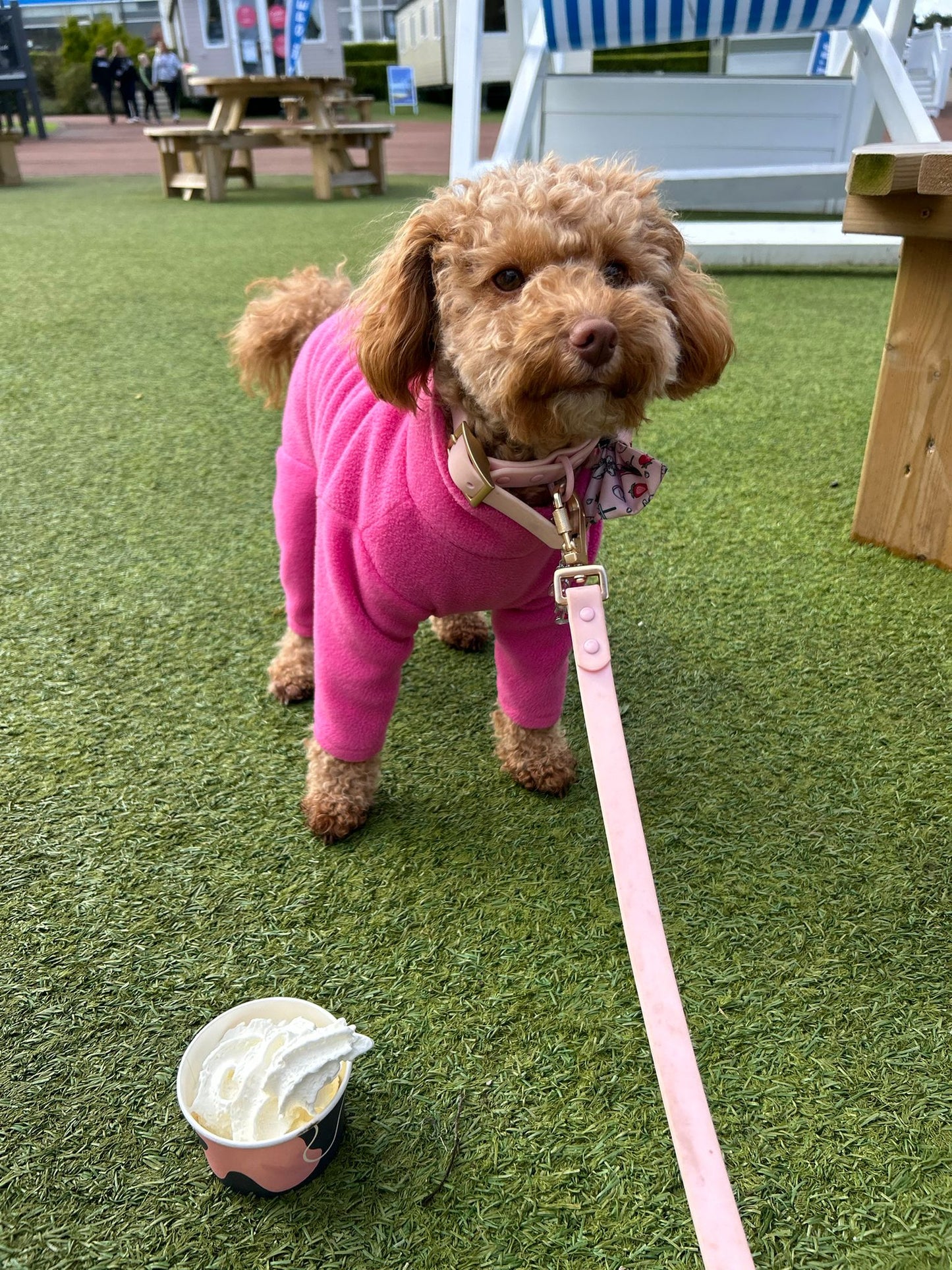 Waterproof Collar & Lead Set - Pastel Pink