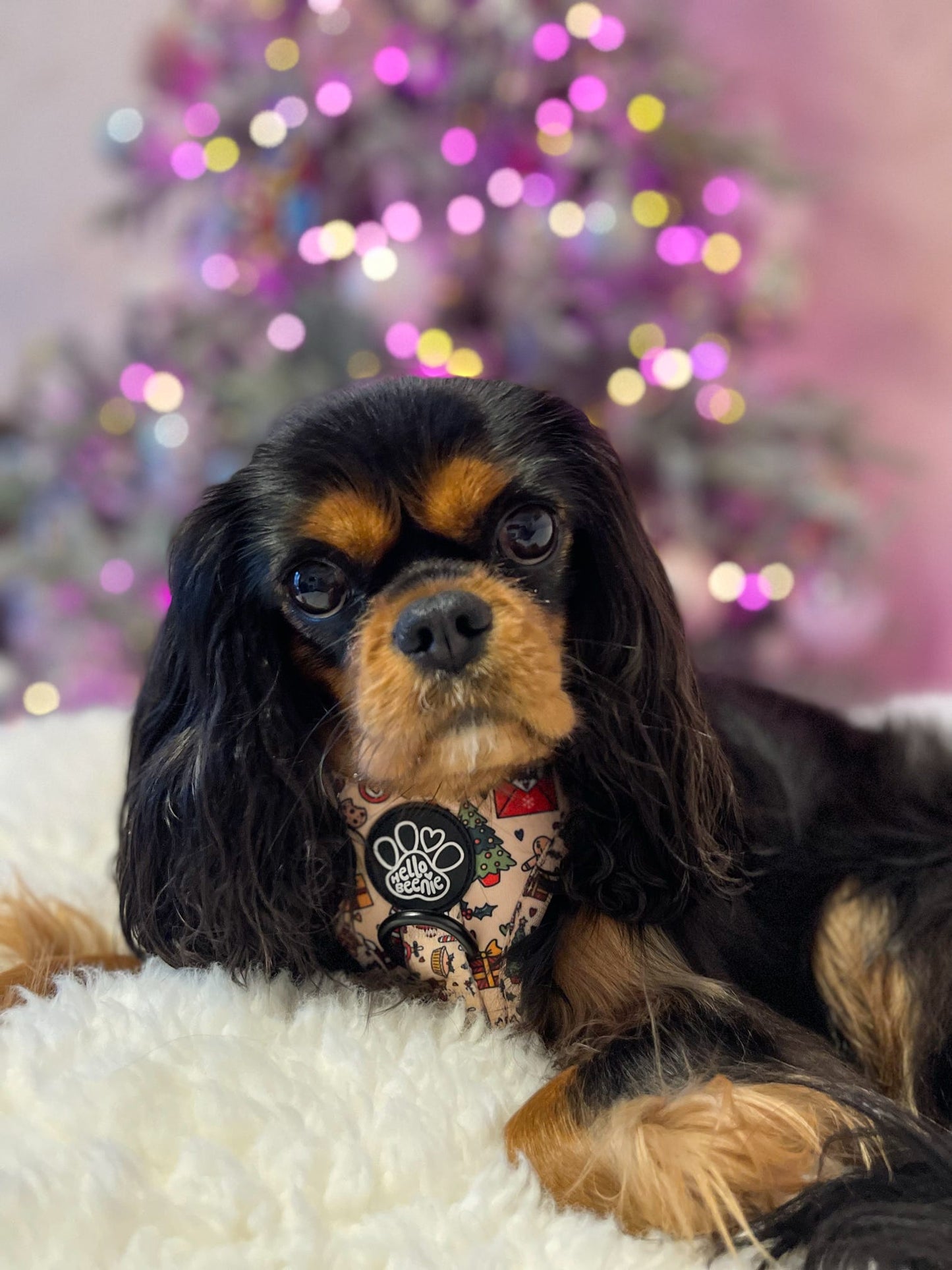 Adjustable Harness - Here Comes Santa Paws