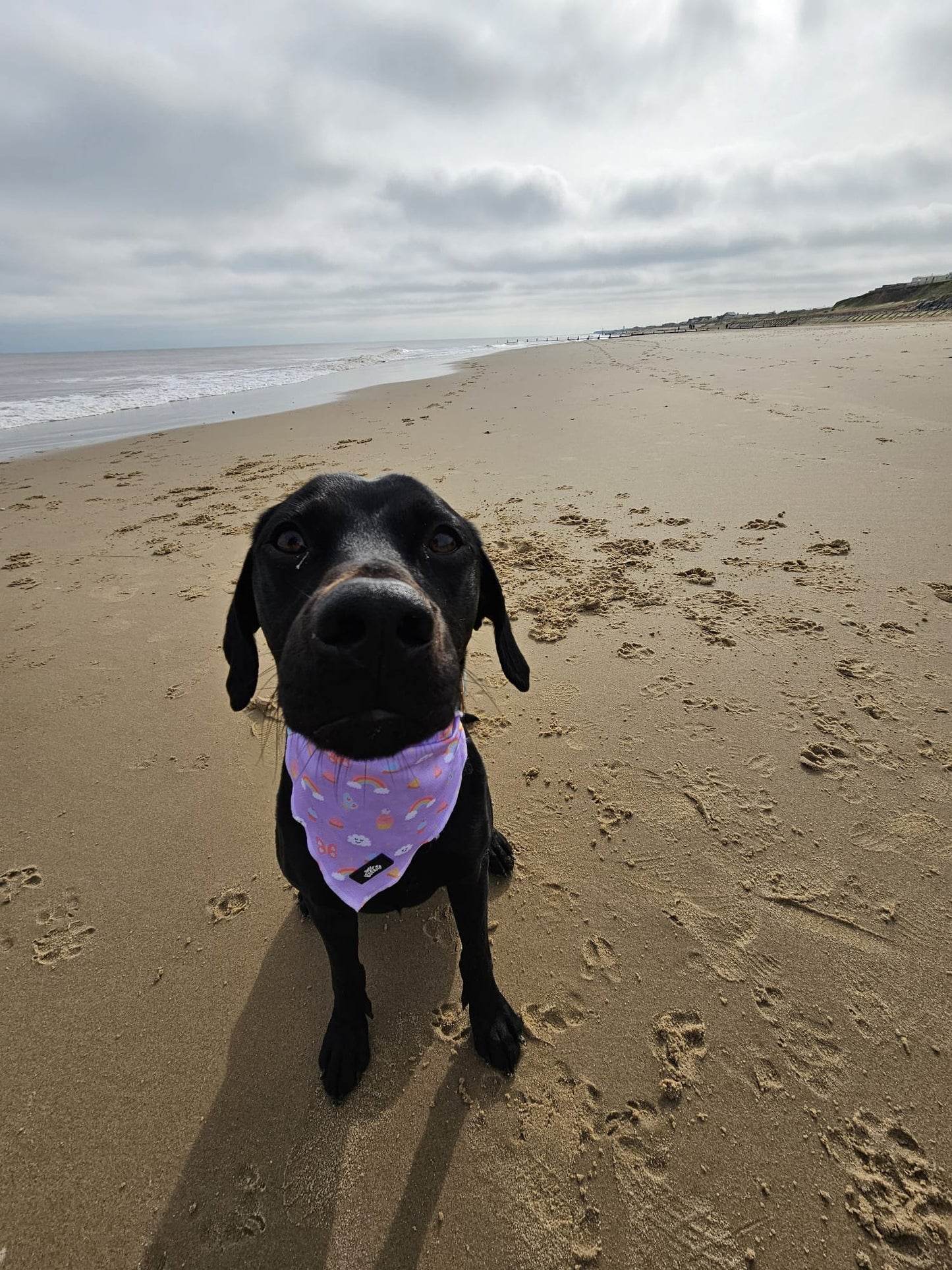 Bandana - Happiness