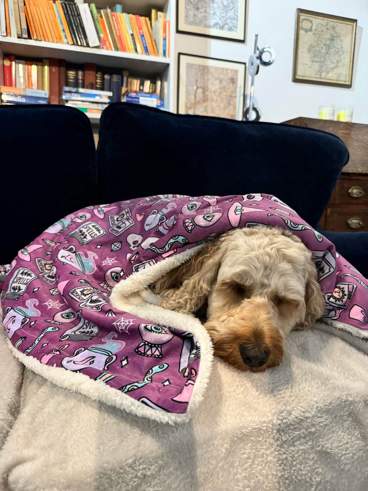 Dog Blanket - Spellbound
