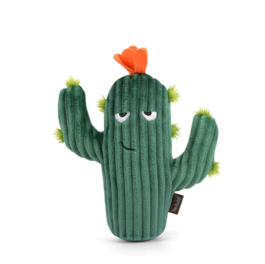 P.L.A.Y - Prickly Pup Cactus