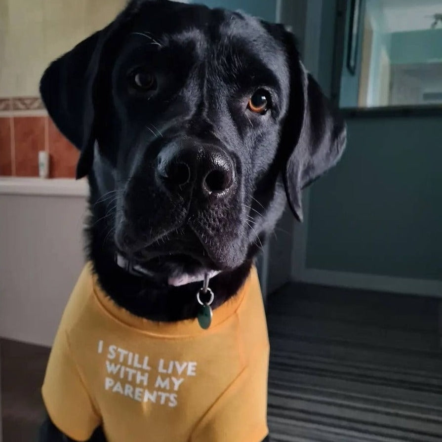 Dog T-Shirt - I Still Live With My Parents Yellow