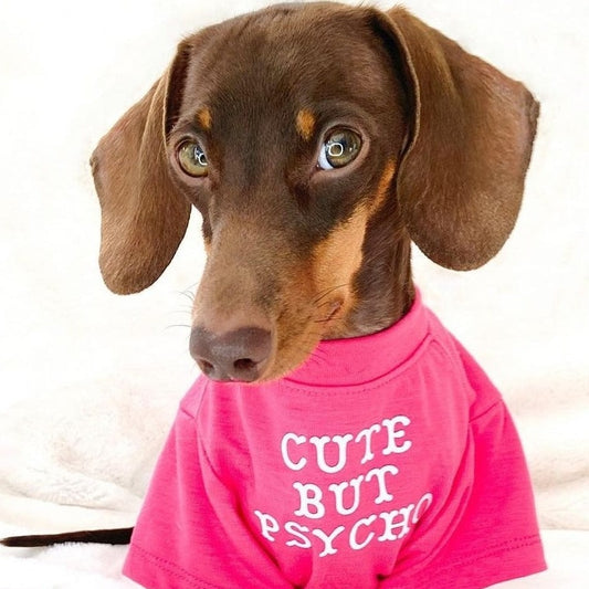 Dog T-shirt - Cute But Psycho