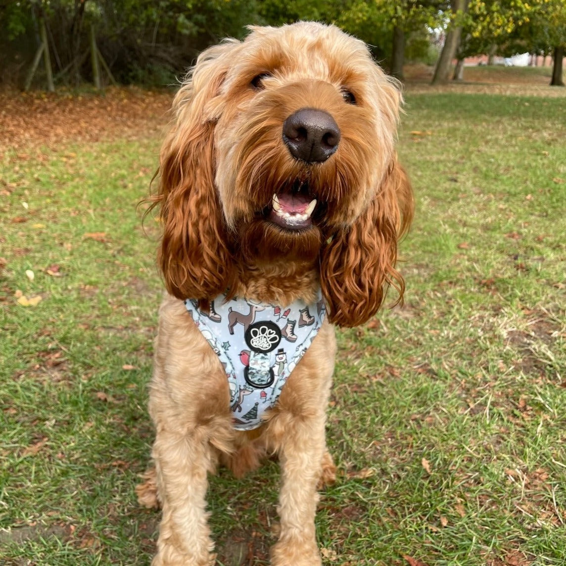 Adjustable Harness - Walkies In A Winter Wonderland