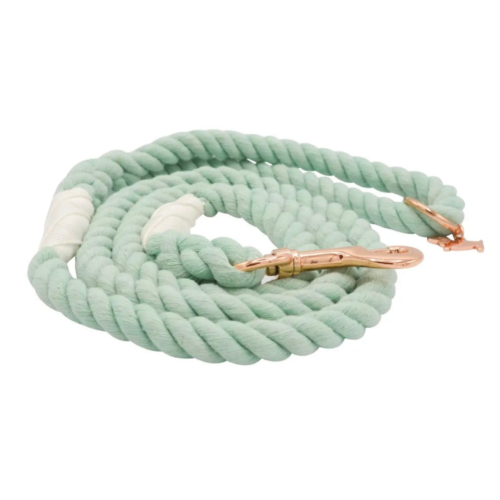 Ombré Rope Lead - Mint To Be