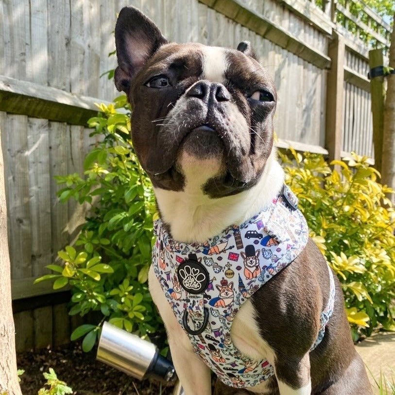 Adjustable Harness - Royal Paws Of London