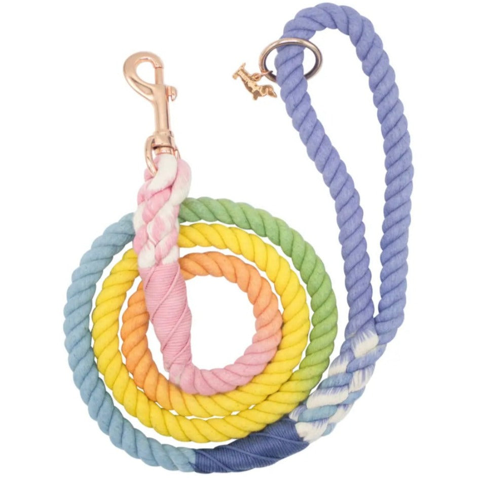 Ombré Rope Lead - Summer Delight