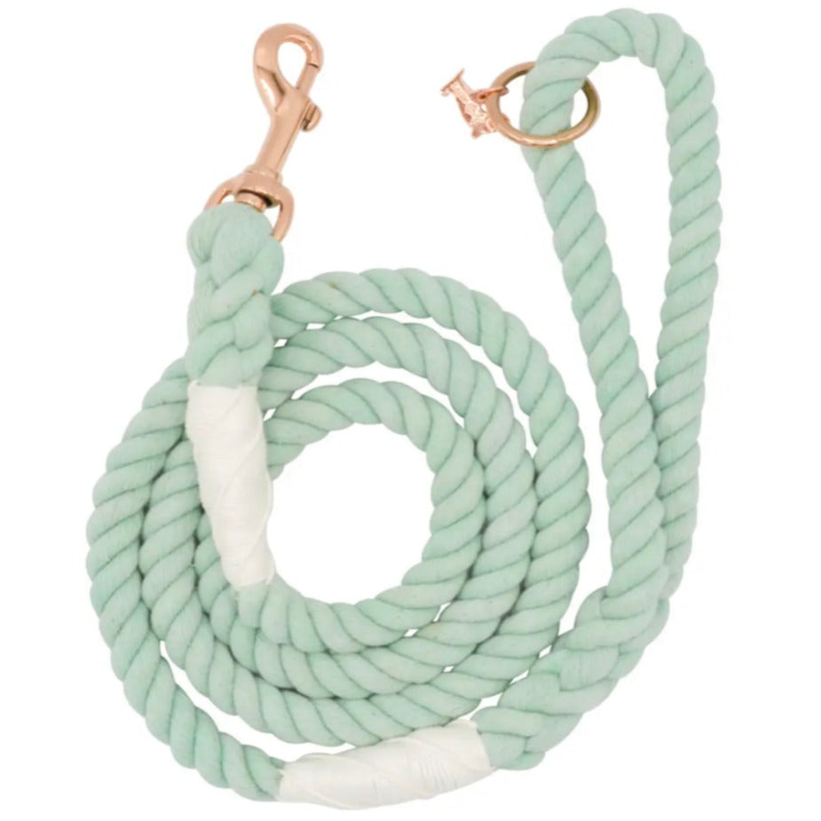 Ombré Rope Lead - Mint To Be
