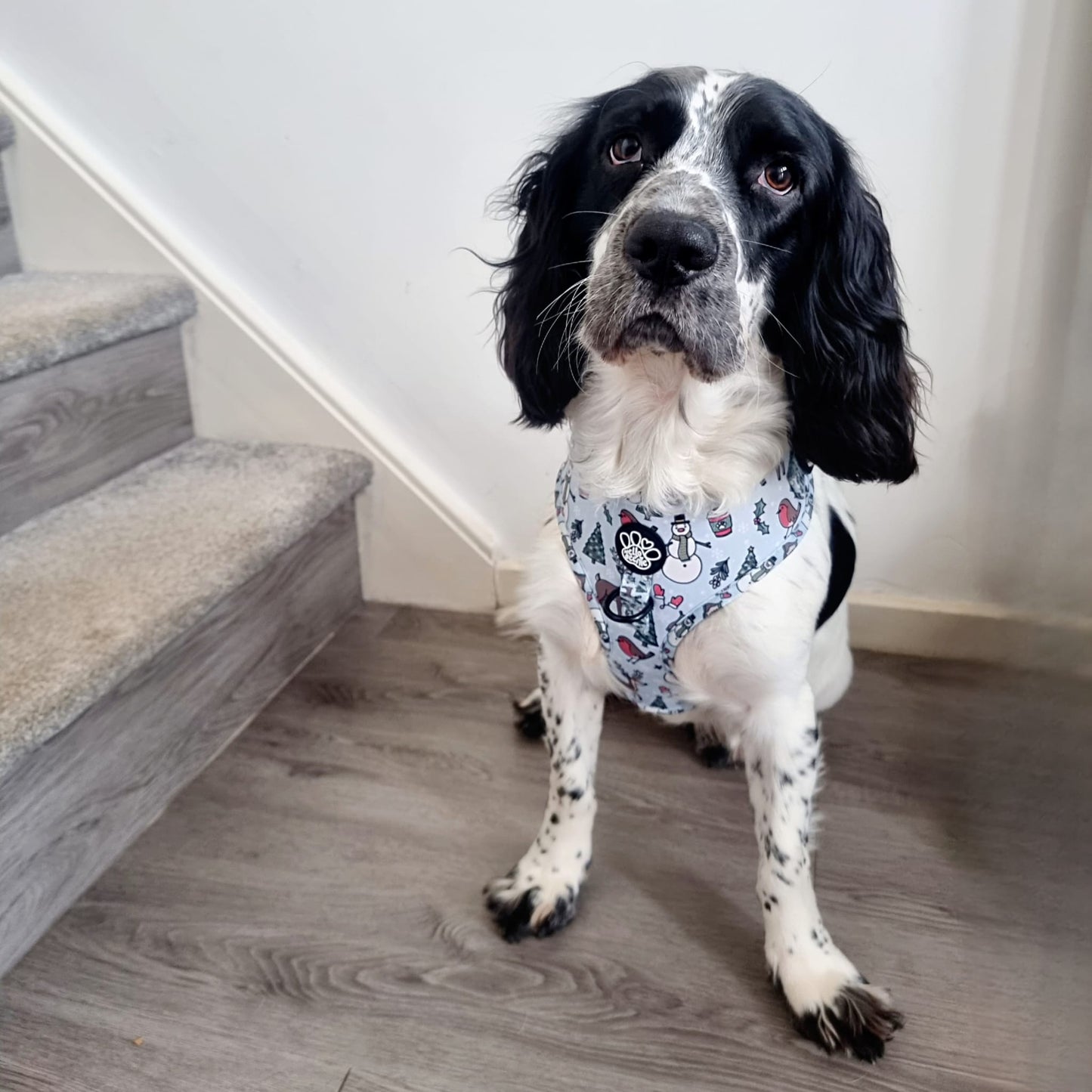 Adjustable Harness - Walkies In A Winter Wonderland