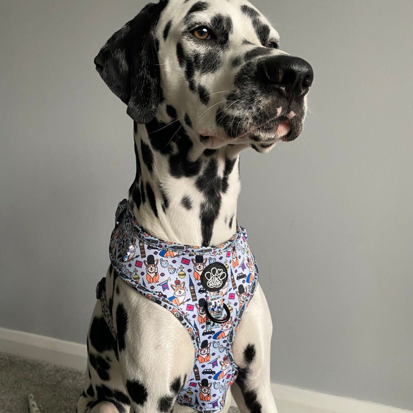 Adjustable Harness - Royal Paws Of London