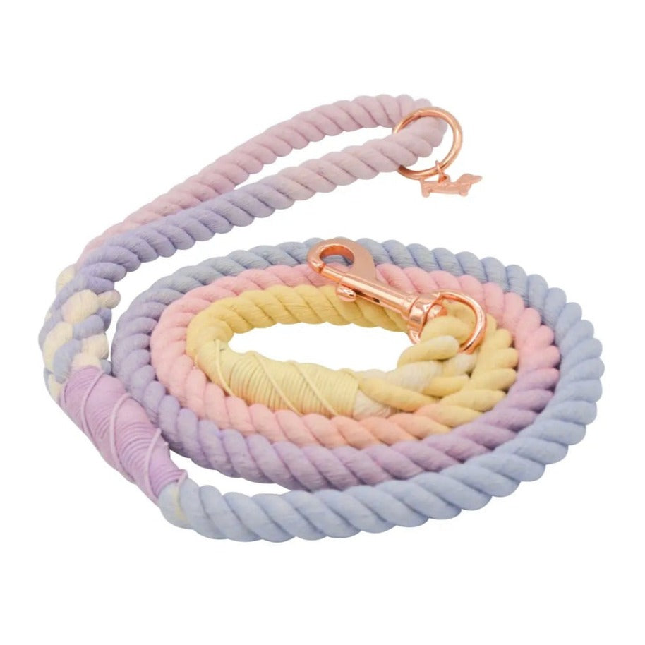 Ombré Rope Lead - Sweet Pea